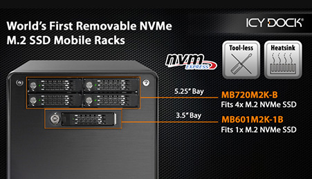 Delock Rack amovible Rack mobile 1 x M.2 NMVe SSD