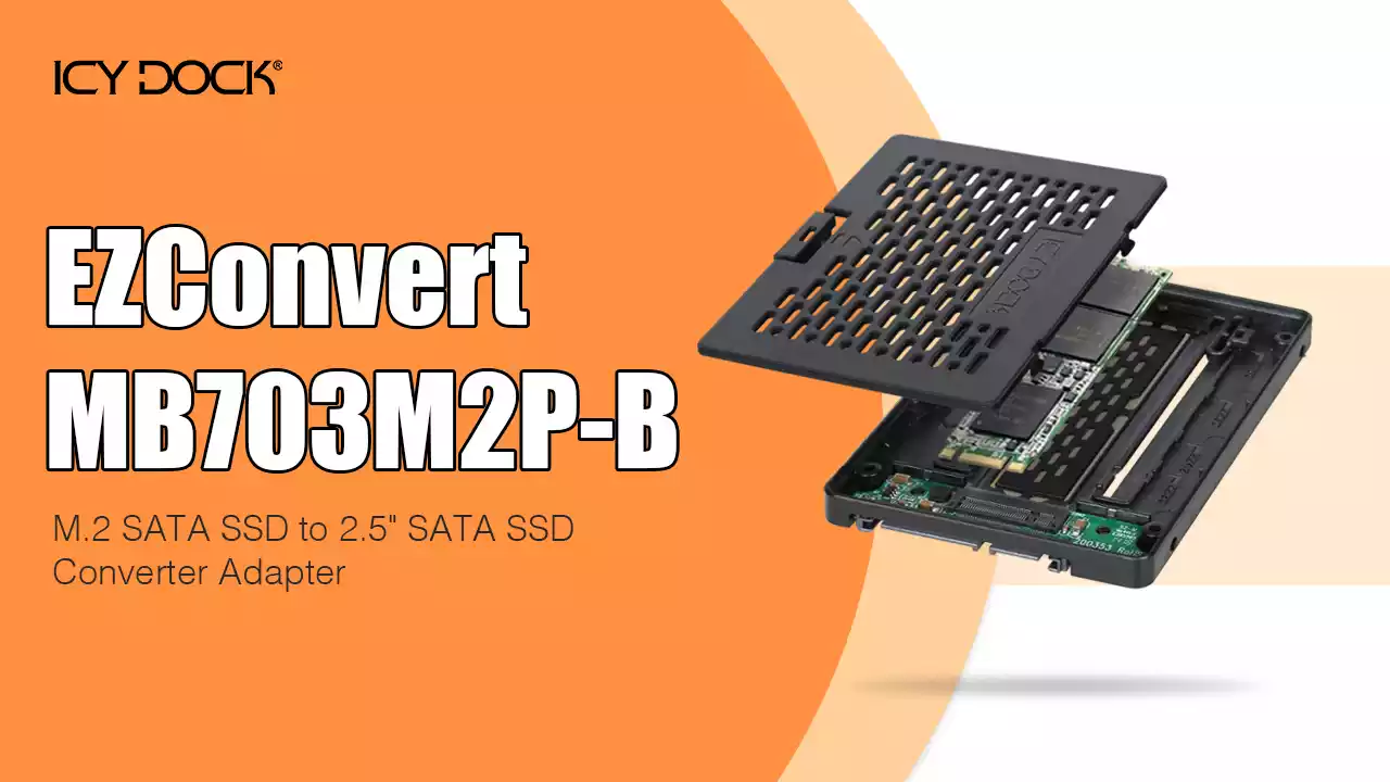 DISQUE DUR DATO 256GO SSD M2 PCI-E NVME (F080663)